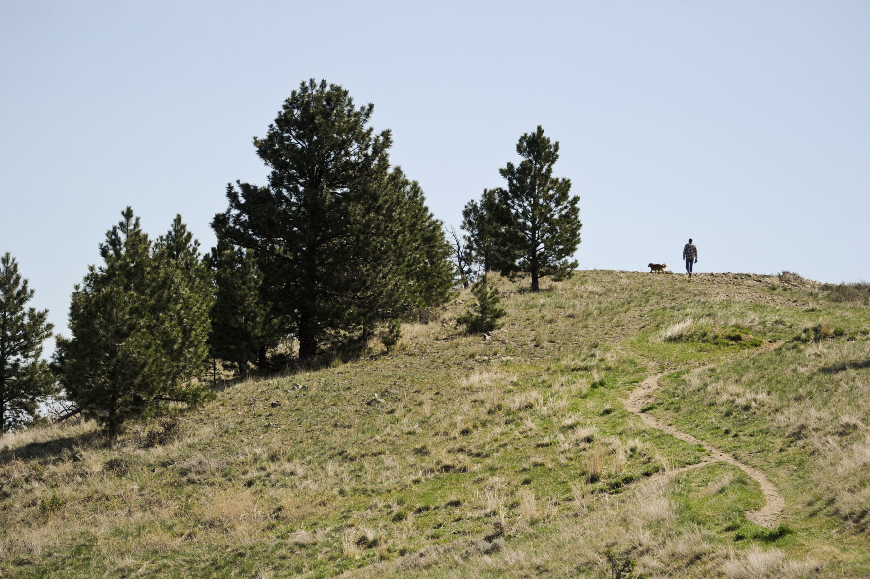A hiker and his dog crest a hill while hiking in the South Hills recently.